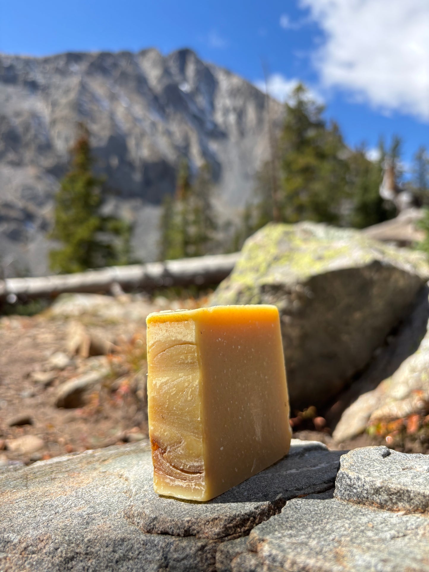 Mulled Apple Cider Tallow Soap