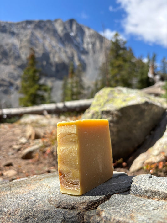 Mulled Apple Cider Tallow Soap